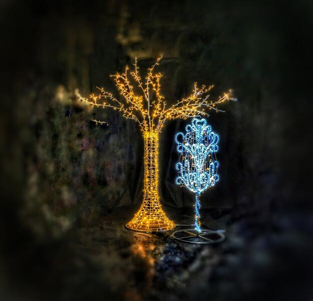 Световые деревья и конусы