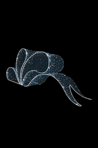 Световая фигура объемная Бант - 3D