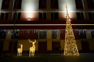 Световое дерево Конус Ажурный 6 м