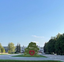 Топиарная композиция Беларусь