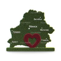 Топиарная композиция Беларусь