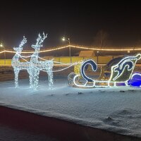 Световая композиция Олени в упряжке с санями